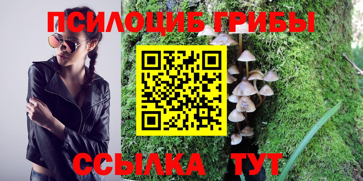 Абинск  Галлюциногенные грибы Cubensis  купить   Вход с VPN 